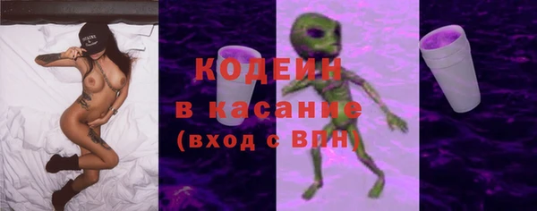 крисы Алзамай