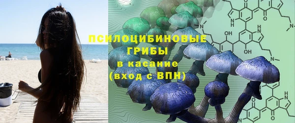 эйфоретик Абинск