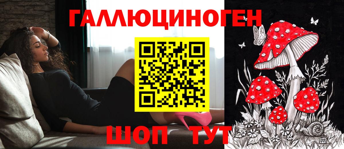 Галлюциногенные грибы прущие грибы Нововоронеж