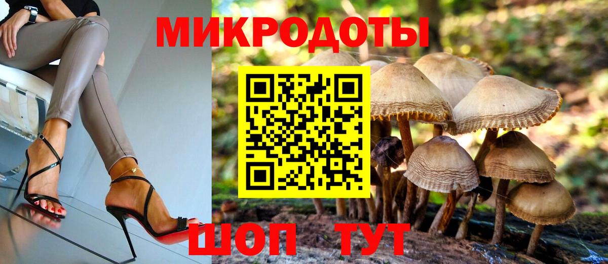 Нововоронеж  Галлюциногенные грибы прущие грибы  Вход с VPN 