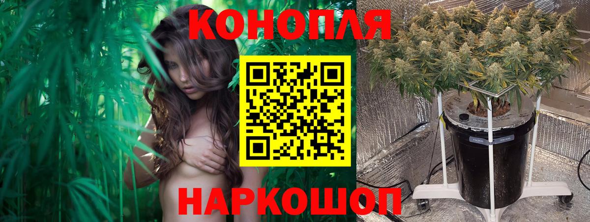 Конопля конопля Нововоронеж